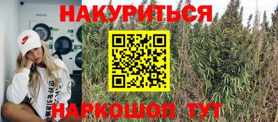 PSILOCYBIN Краснодар