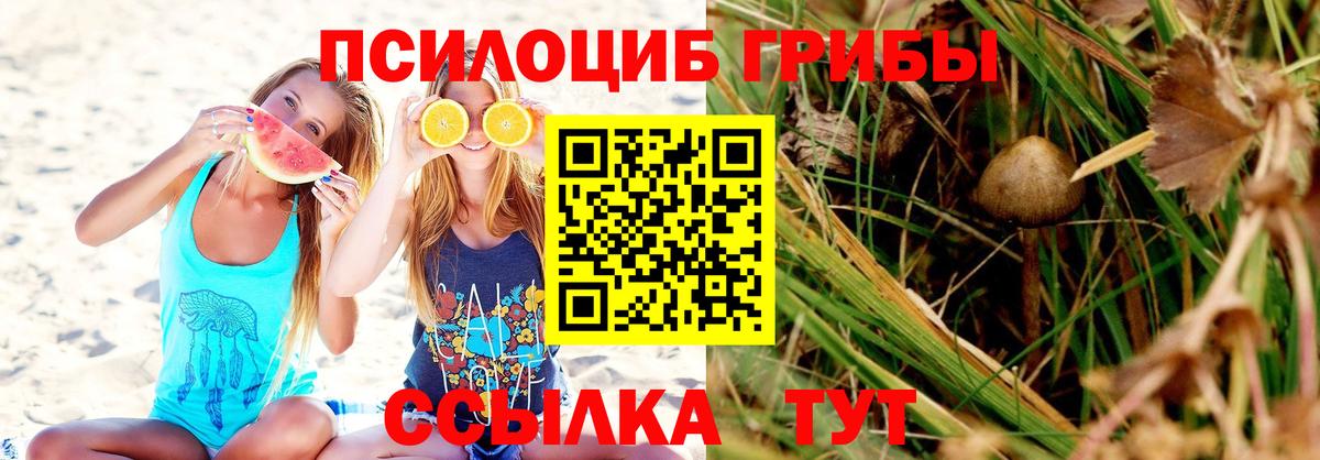 Рыбинск  Псилоцибиновые грибы Psilocybine cubensis  Вход с VPN 